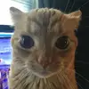 maxwellminer8 - @maxwellminer8 - TikTok