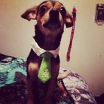 Maxwell - @maxwell_monroe - Instagram