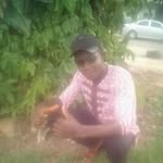 Maxwell Morrison - @maxwell.morrison.9849 - Instagram
