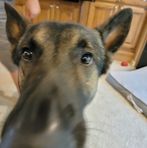 Maxwell Mullen - Facebook