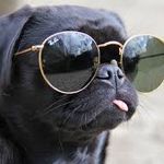 Oliver Maxwell Nichols - @maxwell_nichols_ - Instagram