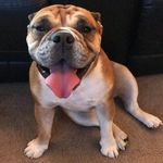 Maxwell Olsen - @maxwell.olsen.923 - Instagram