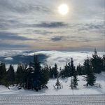Maxwell Olsen - @maxwelljolsen - Instagram