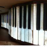 Peter Maxwell - @maxwell.peter - Instagram