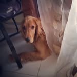 @maxwell.price.4786129 - Instagram