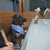 Maxwell Pugh - Facebook