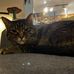 Maxwell Pugh - Facebook