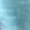 maxwell.rowland19 - @maxwell.rowland19 - TikTok
