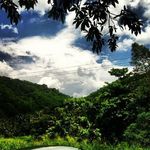 @maxwell.russell.847819 - Instagram
