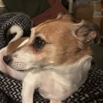 Maxwell J. Russell - @maxwelljrussell - Instagram