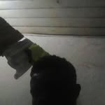 Maxwell Sampson - @maxwell.sampson.31 - Instagram