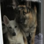 @sampson_maxwell - Instagram