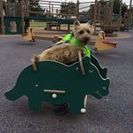 Maxwell London Sanders - @maxwell.thats.me - Instagram