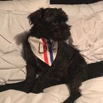 Maxwell Ryan Sanders - @theblackcloud117 - Instagram