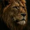 maxwellSantos - @maxwellsantos976 - TikTok