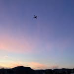 Max - @maxwell_schwartz2 - Instagram
