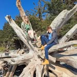 Maxwell sHaw - @topdogfish - Instagram