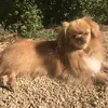 Maxwell Shaw - @maxwell.shaw7 - TikTok