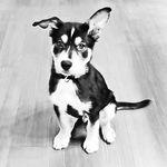 Maxwell, or Max for short 💋💋💋 - @according.to.maxwell - Instagram