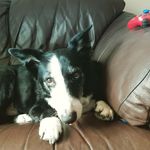 Maxwell Short - @short.maxwell - Instagram
