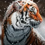 Maxwell Simmons - @animalsandzoology - Instagram