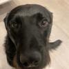 Maxwell slater - @maxwell.slater - TikTok