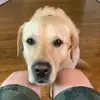 maxwell__smith - @maxwell__smith - TikTok