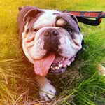 @maxwell.tucker.0190047 - Instagram