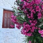 @maxwell.tucker.5410807 - Instagram