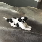 Maxwell Tucker - @themonster_max - Instagram
