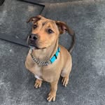 Maxwell Tucker - @maxtuckeredout - Instagram