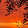 Maxwell Tucker - @maxwell.tucker - TikTok