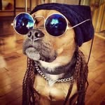 Maxwell Tucker - @maxwelltucker36 - Instagram