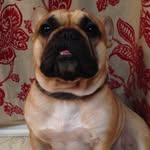 Maxwell Vargas - @mr_maxwell_vargas - Instagram
