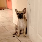 Maxwell Vargas - @jazmin_baltodano - Instagram