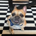 Maxwell Vargas - @sir.maxwell.vargas - Instagram