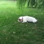Maxwell Vargas - @max_has_got_the_facts - Instagram