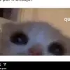 maxwell casi no subo videos XD - @maxwellventura3 - TikTok