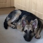 Maxwell Walker - @maxwellwalker21 - Instagram