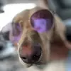 Max - @maxwellweber07 - TikTok