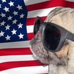Maxwell Webster - @drpuggles552 - Instagram