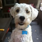 Maxwell Wilcox - Facebook