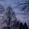 may - @may.arnold_ - TikTok