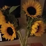 May Austin - @may.austin.927 - Instagram