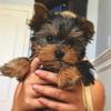 Bentley may - @bentleymay123 - TikTok