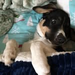 Bentley May - @maybentley - Instagram