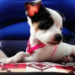 may_bonner - @may_bonner - Instagram