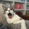 May Budd - @maybudd1 - TikTok