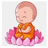 MayBuddhaBlessYou - @maybuddhablessyou - TikTok