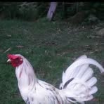 Boljack Tabalar - Facebook